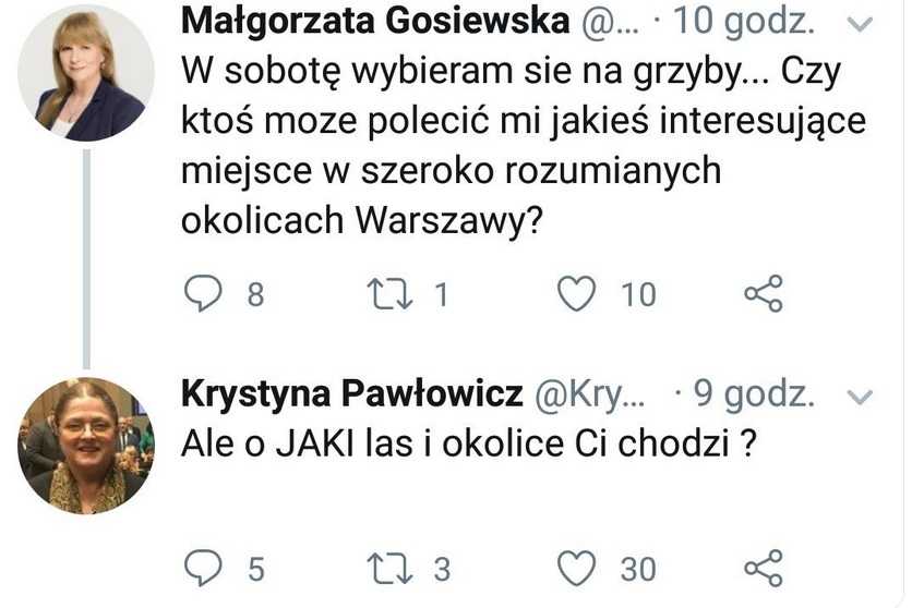 Pawłowicz złamała ciszę wyborczą