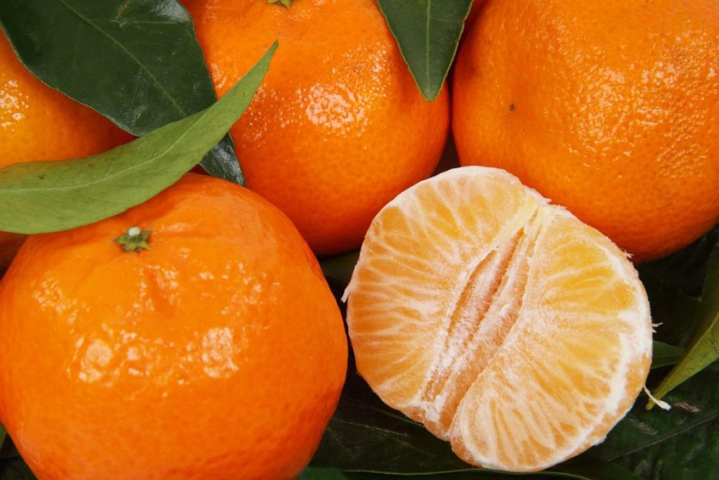 5 rzeczy na które powinnaś zwrócić uwagę kupując mandarynki. Będą słodkie za każdym razem