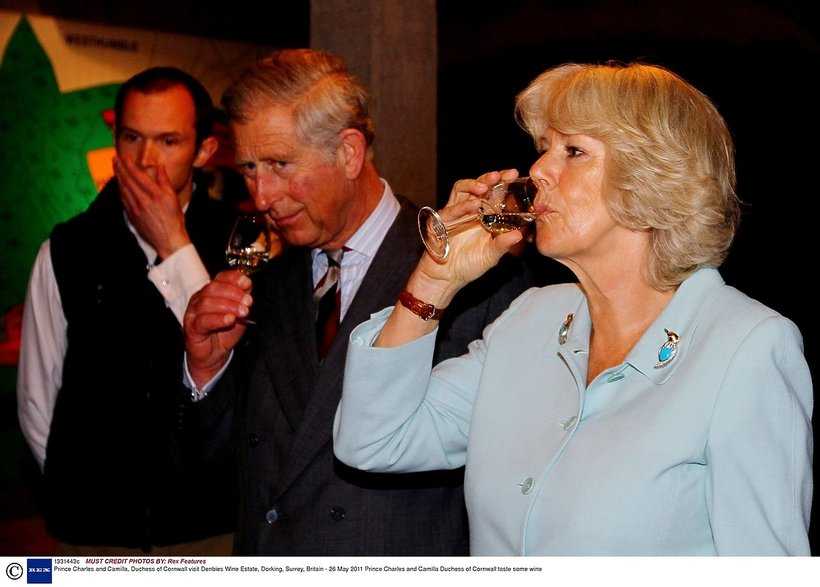 „Była tak pijana, że nie mogła stać” Księżna Camilla jest uzależniona od alkoholu