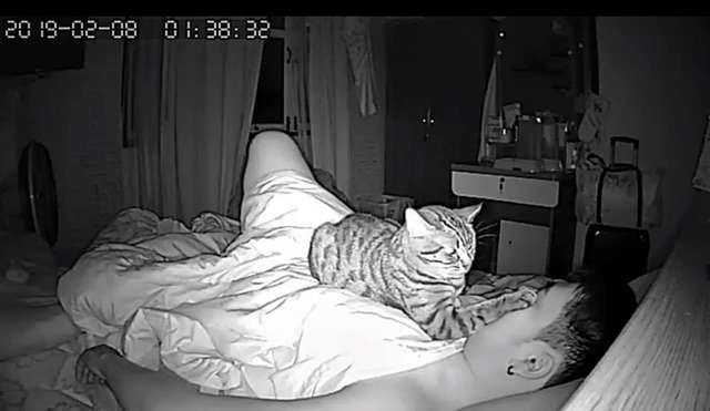Zostawił na noc włączoną kamerę, aby zobaczyć, co robi jego kot podczas, gdy on śpi
