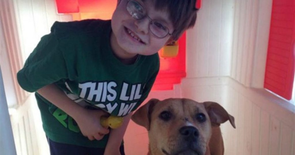 Chłopiec z autyzmem spotyka bezdomnego psa. Wtedy zdarza się cud