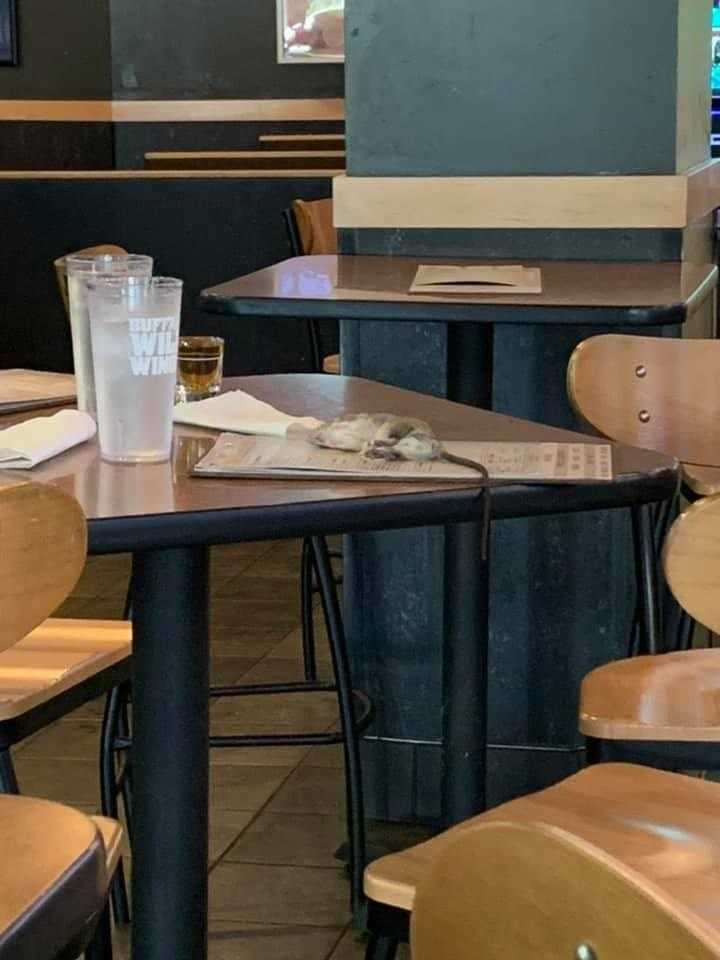 Siedziała w restauracji. Nagle to spadło jej na stół