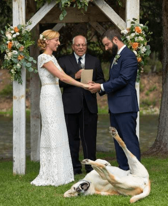 Właściciel zabrał psa na swój ślub. To, co zrobił zwierzak podczas ceremonii, rozbawia do łez