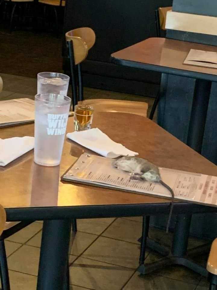 Siedziała w restauracji. Nagle to spadło jej na stół