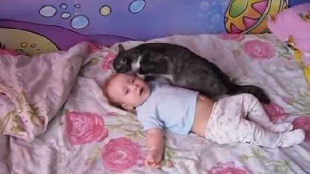 Dziecko leży na łóżku i płacze. Nagle na łóżko wskakuje kot. To wideo podbiło miliony serc