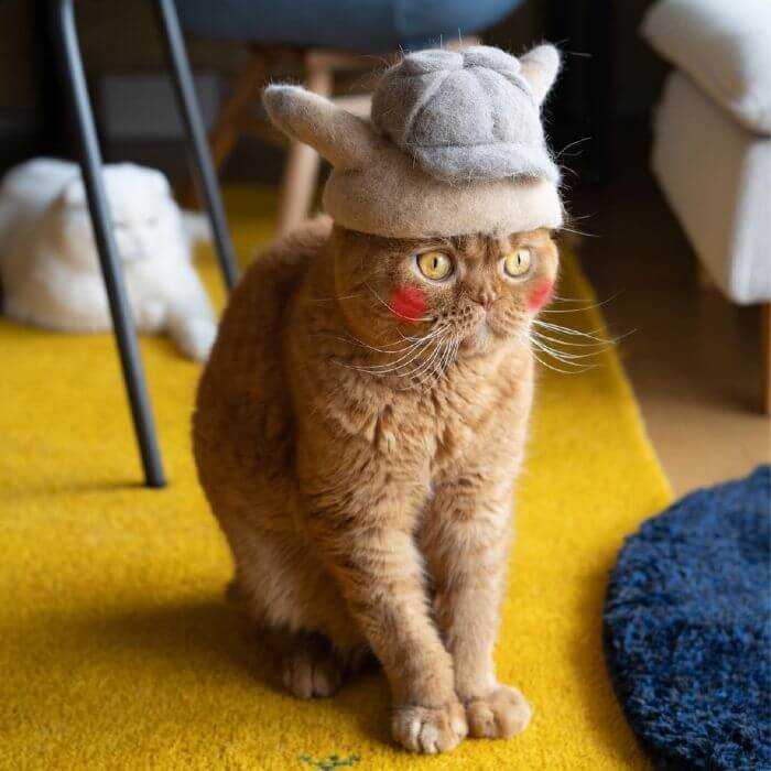 Mężczyzna zrobił kotom czapeczki z ich własnej sierści! Nietypowy pomysł podbija sieć