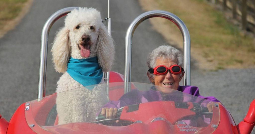 90-letnia kobieta odmawia chemioterapii i wyrusza w podróż życia ze swoim pupilem