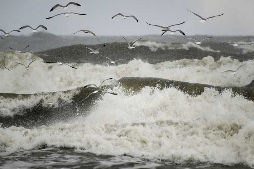 Akcja ratunkowa na Bałtyku. Żeglarz utknął na morzu