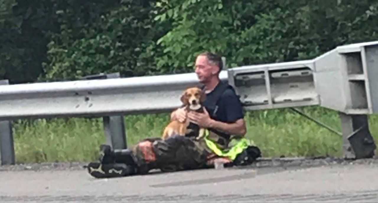 Po wypadku przerażony pies nie chce opuścić rannego właściciela, wtedy strażak robi coś co poruszy serce każdego człowieka