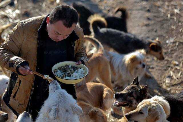 Chiński milioner kupił rzeźnię, aby ratować psy i stworzyć z niej schronisko dla zwierząt