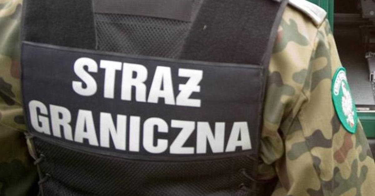 Przerzucali cudzoziemców do Polski. Straż graniczna rozbiła grupę przestępców