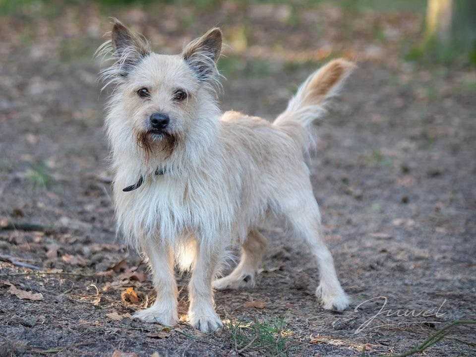 Dramat Saszki! To straszne, co zgotował mu los...