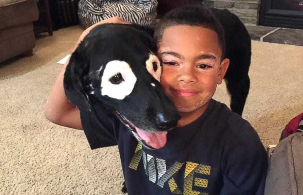 8-letni chłopiec odzyskuje pewność siebie dzięki psu, który również cierpi na bielactwo