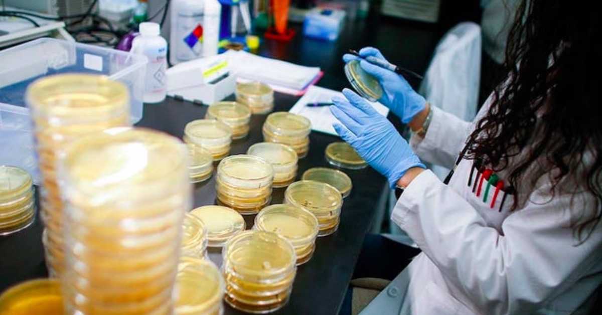 Jak długo potrwa pandemia koronawirusa? Powstała symulacja jej rozwoju w Polsce
