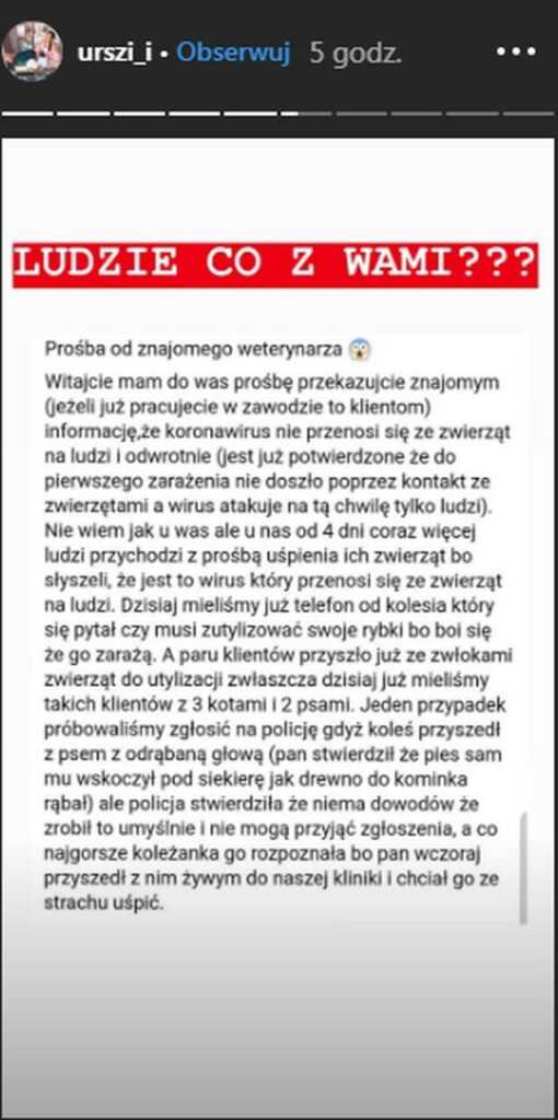 Właściciele masowo chcą usypiać swoje zwierzęta. Wstrząśnięty weterynarz apeluje