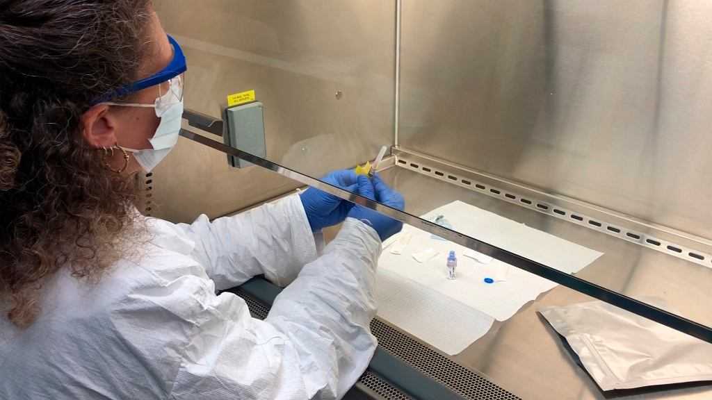 Szczepionka na koronawirusa może być gotowa we wrześniu. Badaczka z Oksfordu: Na 80 proc. będzie skuteczna