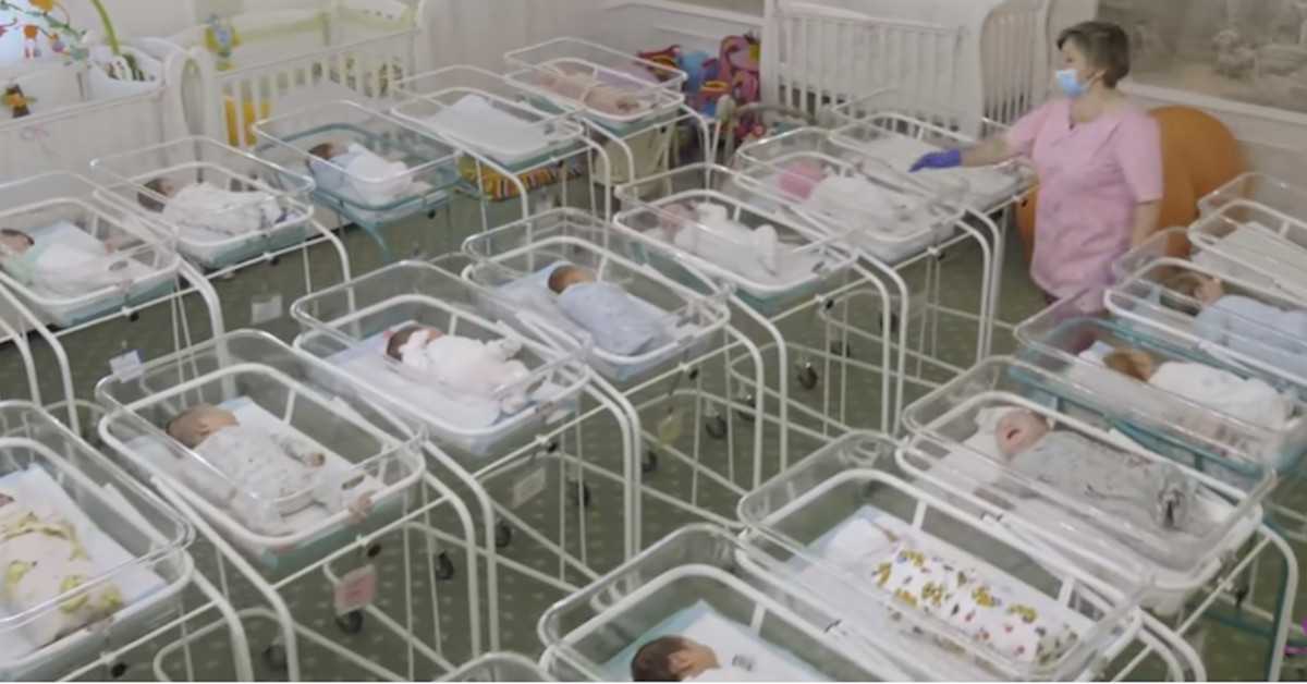Setki zamówionych noworodków czekają na odbiór. Nie ma co z nimi zrobić