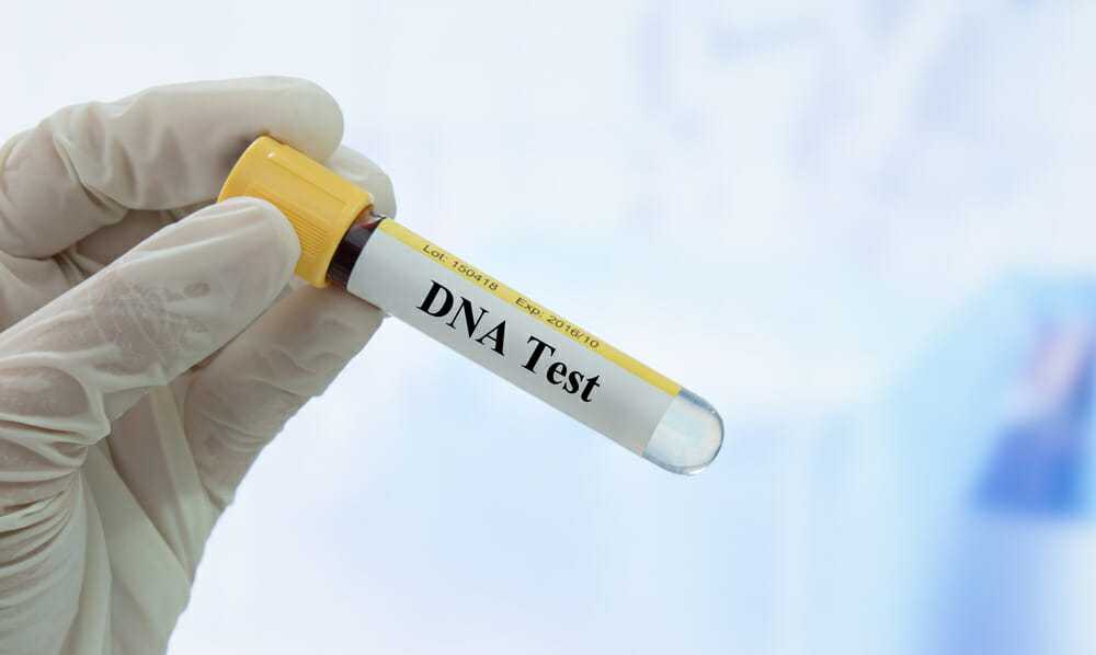 Chłopak w prezencie świątecznym daje swojej dziewczynie test DNA – wychodzi na jaw rodzinny sekret: „Psuje wszystko”