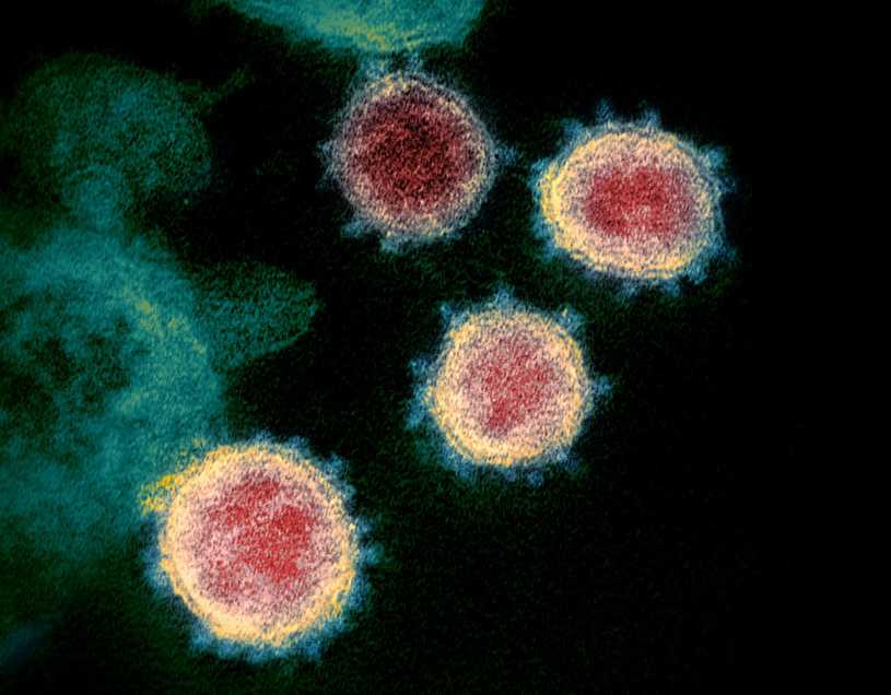 "Wymyślona" pandemia COVID-19. Czy Polacy wierzą w teorie spiskowe o koronawirusie?