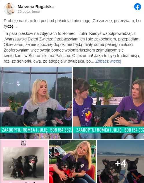 Marzena Rogalska poruszona tragedią psów z programu