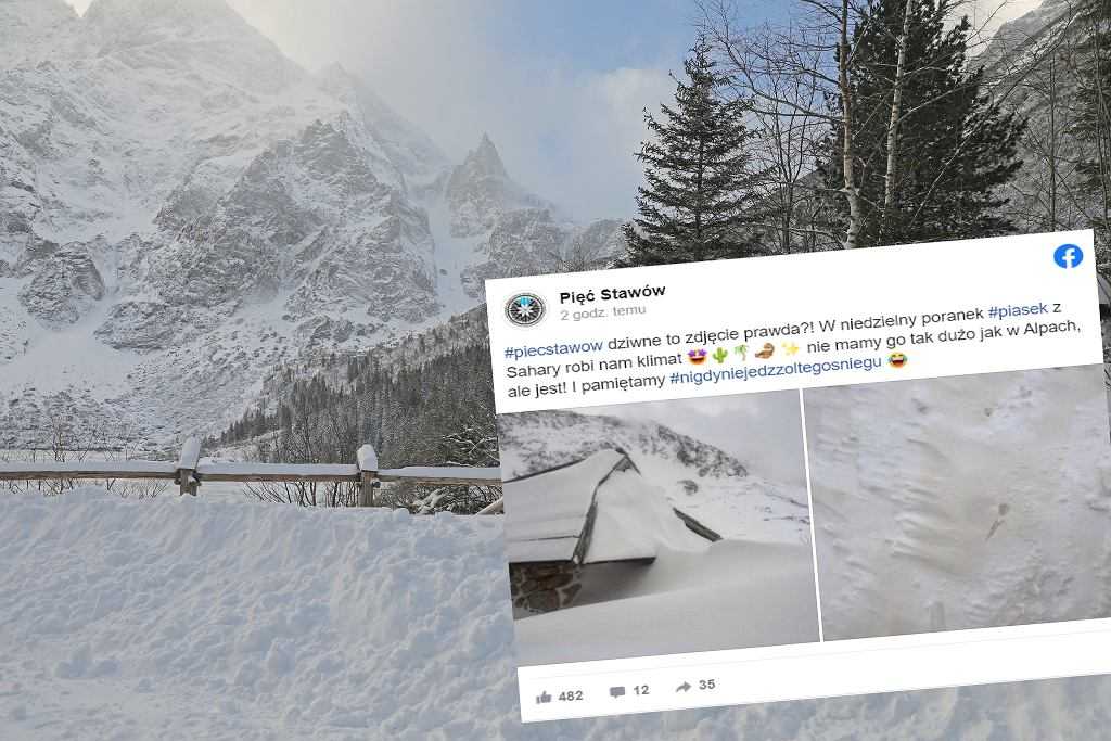 Żółty śnieg w Tatrach. Schronisko pokazało zdjęcia. "Nie tak dużo jak w Alpach, ale jest!"