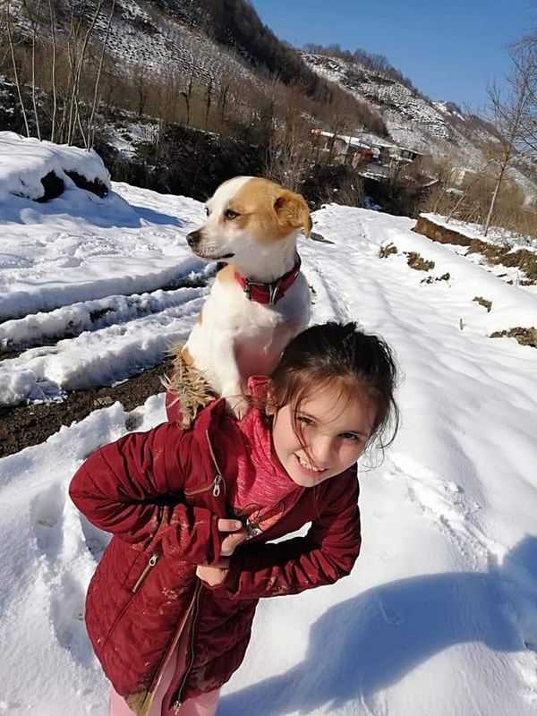 Mała dziewczynka idzie ponad kilometr przez śnieg z chorym psem na plecach, aby dotrzeć do weterynarza