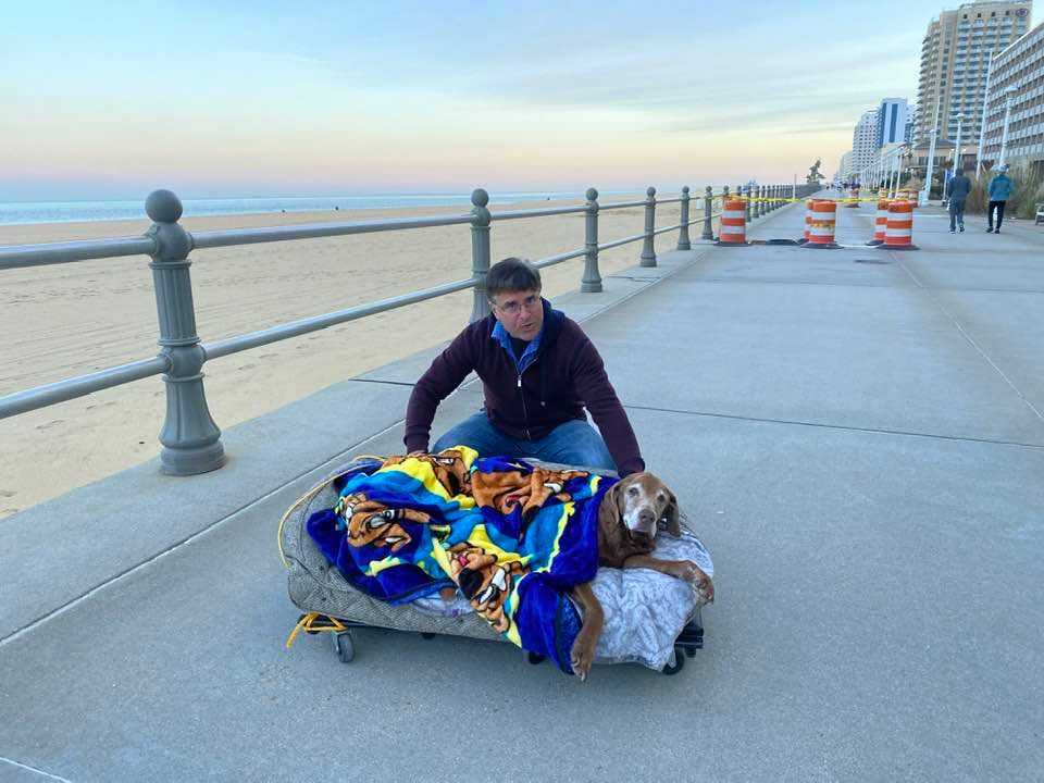 Rodzina buduje mobilne posłanie dla 16-letniego starszego psa, by mógł odwiedzać plażę