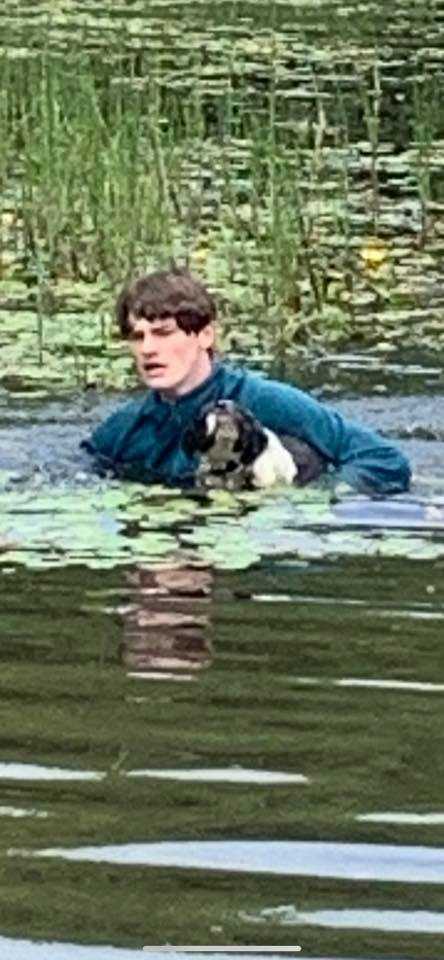 Nastolatek wskakuje do jeziora, aby uratować psa nieznajomej przed utonięciem