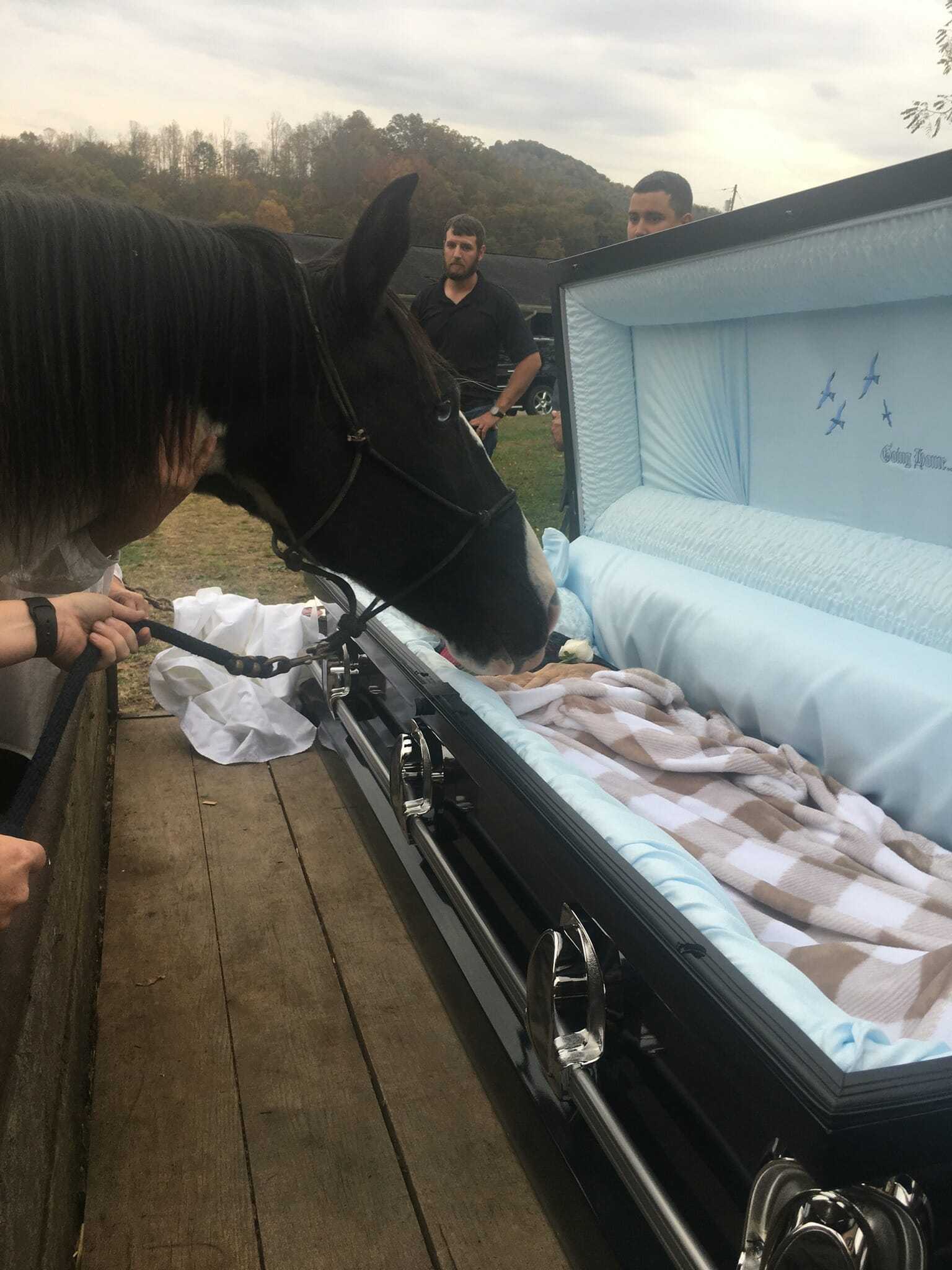 Koń na pogrzebie po raz ostatni żegna się z właścicielem, który nie chciał z niego zrezygnować