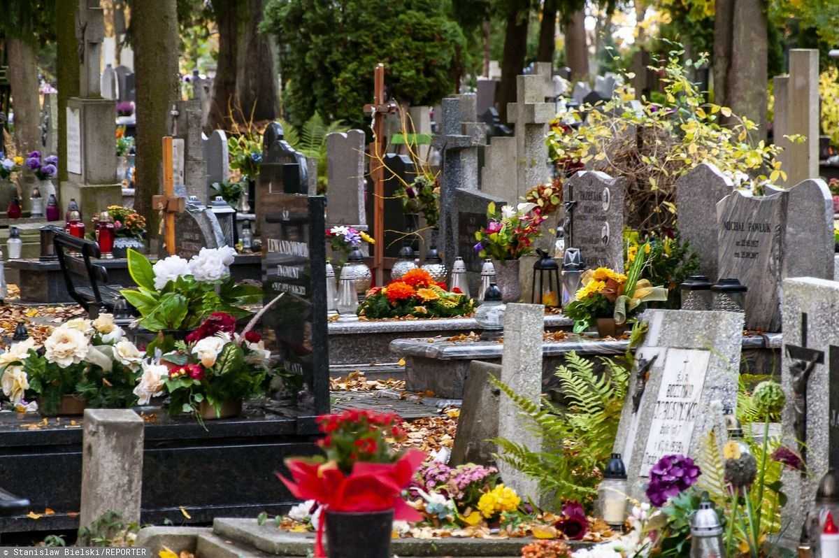 Co z cmentarzami na Wszystkich Świętych? Pojawił się kontrowersyjny pomysł