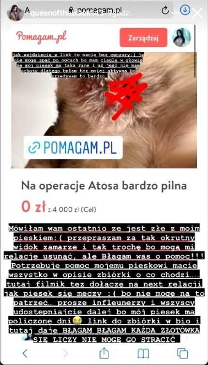 Queen of the black. Polska influencerka wyłudziła pieniądze na chorego psa?