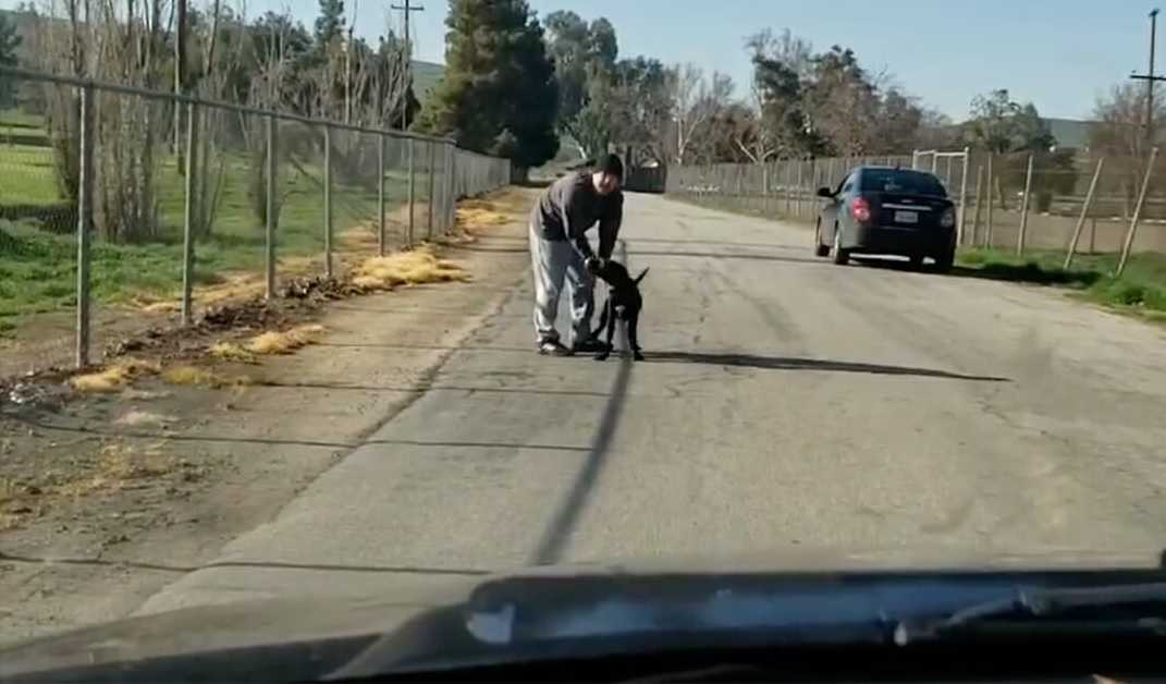 Wyrzucił psa z samochodu. Ten błagał aby go zabrali. Desperacko biegł za autem. Poruszające.