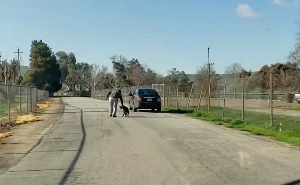 Wyrzucił psa z samochodu. Ten błagał aby go zabrali. Desperacko biegł za autem. Poruszające.