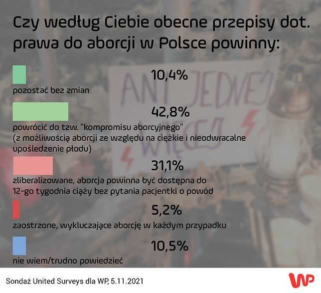 Najnowszy sondaż dla WP. Polacy bezlitośni ws. aborcji