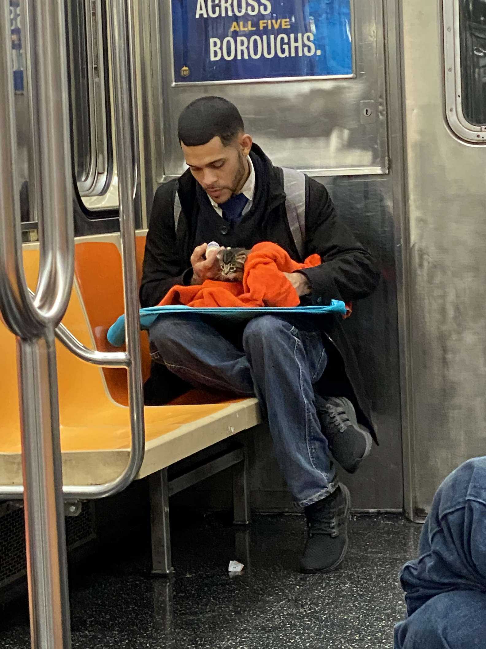Kobieta zauważa w metrze mężczyznę karmiącego kotka z butelki, jego zdjęcie podbija internet