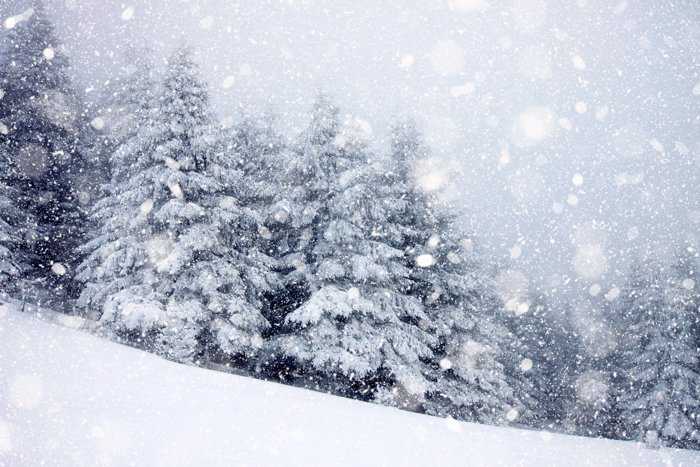 Kiedy spadnie pierwszy śnieg? Długoterminowa prognoza IMGW na zimę 2021/2022