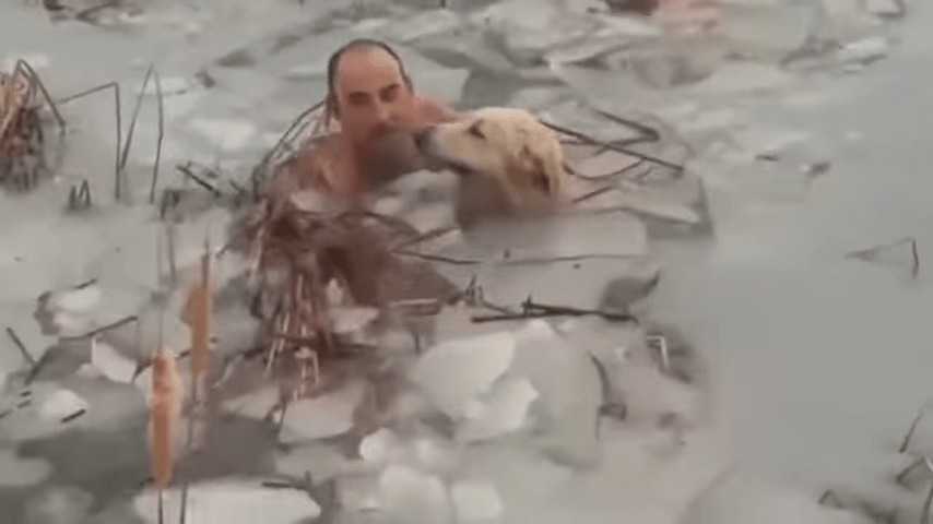 Dzielni policjanci wskakują do lodowatej, marznącej wody, aby uratować psa