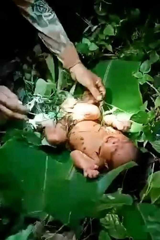 Noworodek znaleziony żywy w lesie. Nie mogli uwierzyć, że przeżył