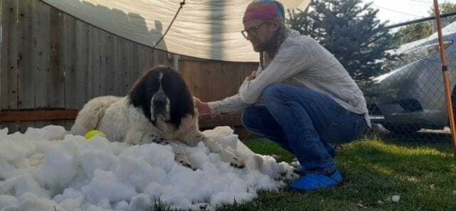 Pracownicy lodowiska spełniają ostatnie życzenie umierającego psa, by po raz ostatni zobaczył śnieg