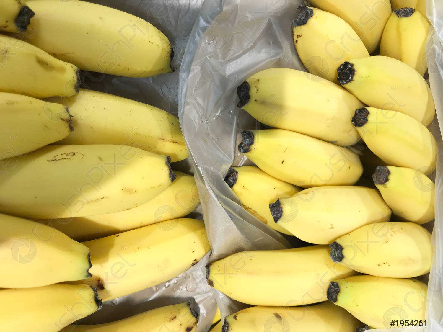 Gdańsk. Biały proszek w kartonach z bananami jednej ze znanych sieci. Wezwano policję