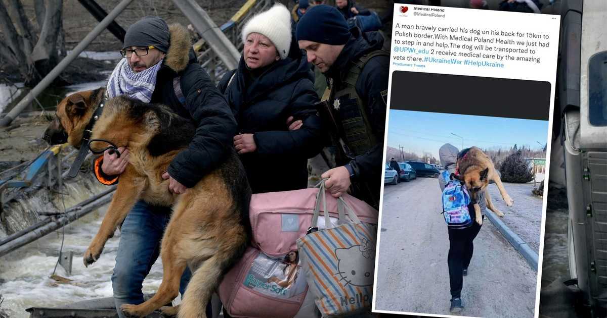 Niósł schorowanego psa 17 kilometrów do polskiej granicy. Ta historia porusza do łez