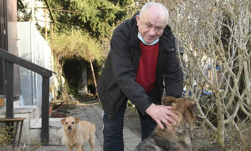 Wszedł w ogień, żeby ratować ukochane psy. Senior z Żernik stracił wszystko oprócz nich