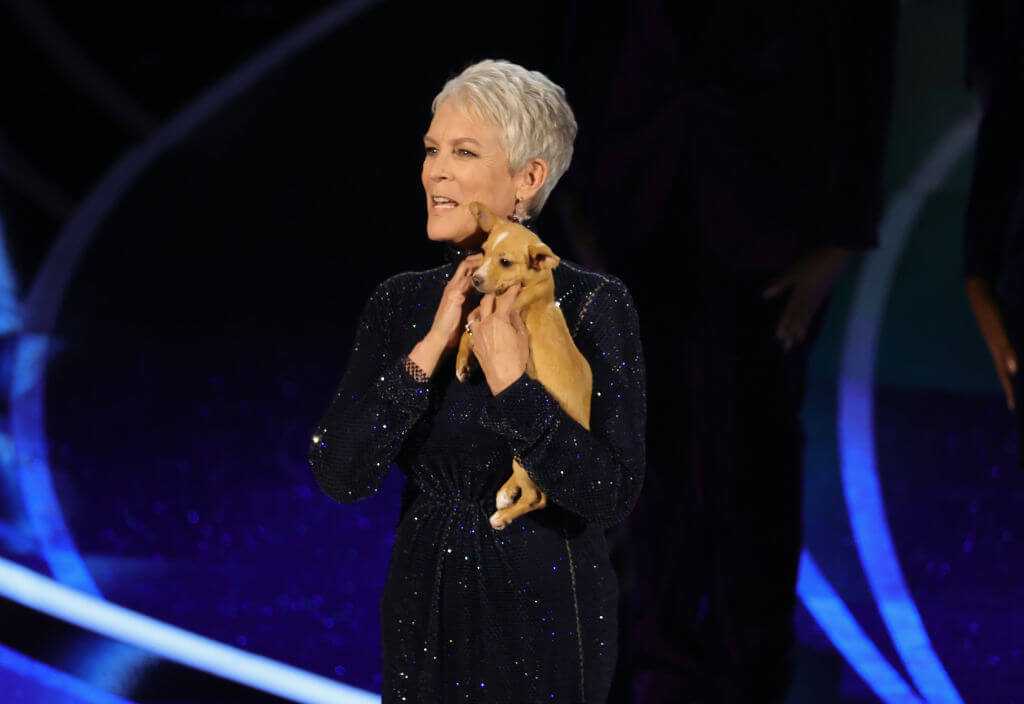 Pies ze schroniska, który pojawił się na ceremonii Oskarów, został adoptowany przez Johna Travoltę