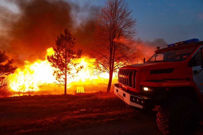 Pożary lasów na Syberii. Są ranni i ofiary śmiertelne