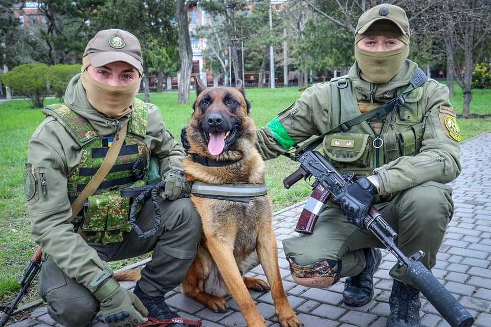 Rosyjski pies bojowy przechodzi na stronę Ukrainy i dzielnie pomaga żołnierzom bronić kraj