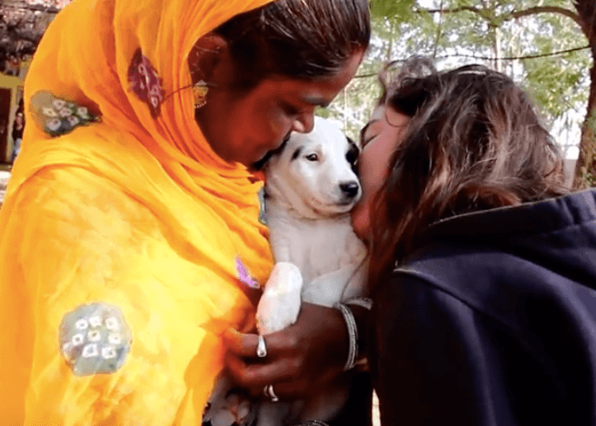 Psia mama wyła i płakała, aby ktoś uratował jej szczeniaka. Błagała ludzi o pomoc. Omijali ją…