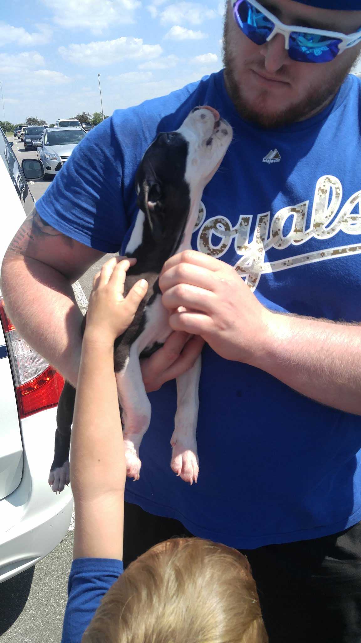 Kibice znajdują psa pozostawionego w nagrzanym samochodzie pod stadionem i ratują mu życie