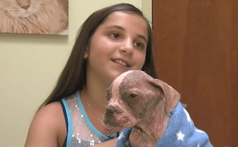 Kiedy weterynarz dowiedział się co 11latka dziewczynka zrobiła maltretowanego szczeniaka był w szoku