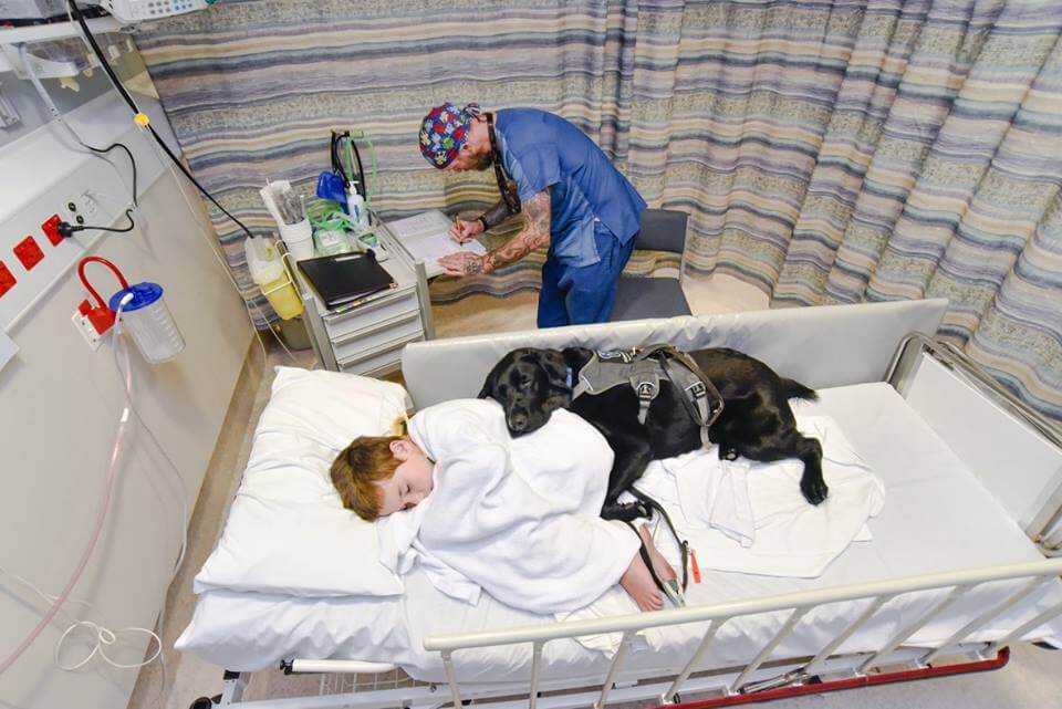 Mały chłopiec cierpiał w szpitalu. Matka płakała. Wtedy pozwolono jego psu wejść na jego łóżko.