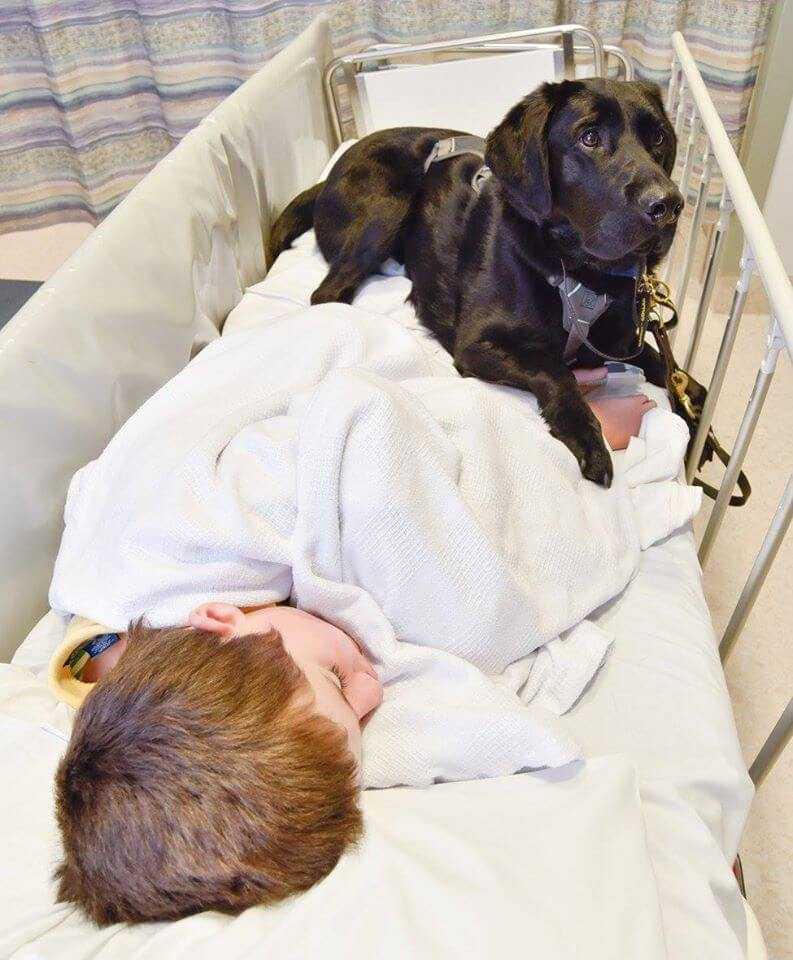 Mały chłopiec cierpiał w szpitalu. Matka płakała. Wtedy pozwolono jego psu wejść na jego łóżko.
